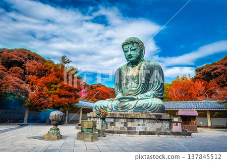 Daibutsu or Great Buddha of Kamakura in Kotokuin Temple at Kanagawa Prefecture Japan with leaves changing color It is an important landmark and a popular destination for tourists and pilgrims. 137845512