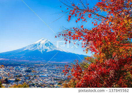 Mount Fuji framed with red maple leaves beautifully in autumn. Copy space background Mount Fuji framed with red maple leaves beautifully in autumn. Copy space background 137845562