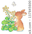 An illustration of a baby rabbit eating rapeseed flowers. 137845600