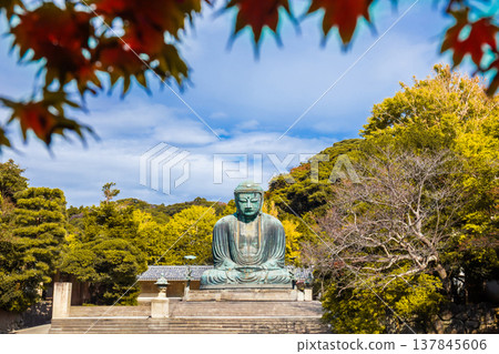 Daibutsu or Great Buddha of Kamakura in Kotokuin Temple at Kanagawa Prefecture Japan with leaves changing color It is an important landmark and a popular destination for tourists and pilgrims. 137845606