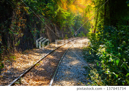 The Death Railway crossing kwai river in The mountain cutting section  Kanchanaburi Thailand. Important landmark and destination to visiting and world war II history builted 137845734