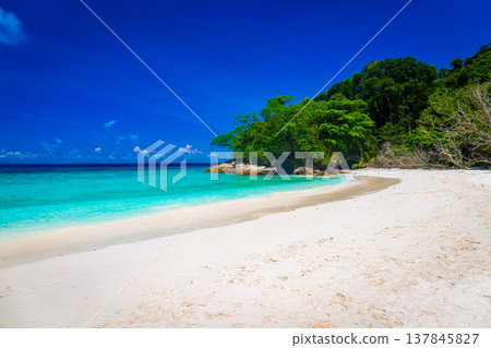 Beautiful crystal clear sea and white sand beach at Tachai island, Andaman, Thailand in summer. Copy space background Beautiful crystal clear sea and white sand beach at Tachai island, Andaman, Thailand in summer. Copy space background 137845827