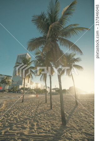 Golden Sunrise at Copacabana Beach with Palm Trees and Luxury Hotels with copy space Golden Sunrise at Copacabana Beach with Palm Trees and Luxury Hotels with copy space 137846048