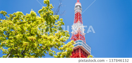 東京都政府:東京鐵塔和港區綠意盎然的景色 東京都政府:東京鐵塔和港區綠意盎然的景色 137846132