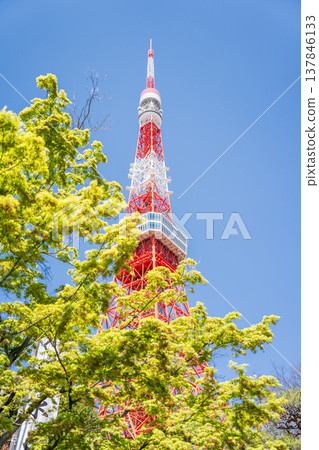 東京都政府:東京鐵塔和港區綠意盎然的景色 東京都政府:東京鐵塔和港區綠意盎然的景色 137846133