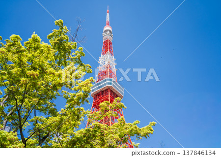 東京都政府:東京鐵塔和港區綠意盎然的景色 東京都政府:東京鐵塔和港區綠意盎然的景色 137846134