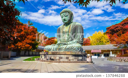 Daibutsu or Great Buddha of Kamakura in Kotokuin Temple at Kanagawa Prefecture Japan with leaves changing color It is an important landmark and a popular destination for tourists and pilgrims. 137846288