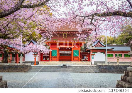 Fujisan Hongu Sengen Taisha Shinto Shrine where cherry blossoms are blooming on a rainy day at Fujinomiya Shizuoka, Japan. Fujisan Hongu Sengen Taisha Shinto Shrine where cherry blossoms are blooming on a rainy day at Fujinomiya Shizuoka, Japan. 137846294