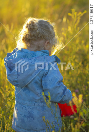 Little Girl in Blue Jacket Walking in Sunny Meadow with Copy Space Little Girl in Blue Jacket Walking in Sunny Meadow with Copy Space 137846617