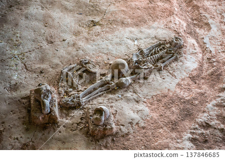 Human and dog skeletons with Dvaravati period items discovered in Si Thep Historical Park, Phetchabun Province, Thailand. Human and dog skeletons with Dvaravati period items discovered in Si Thep Historical Park, Phetchabun Province, Thailand. 137846685