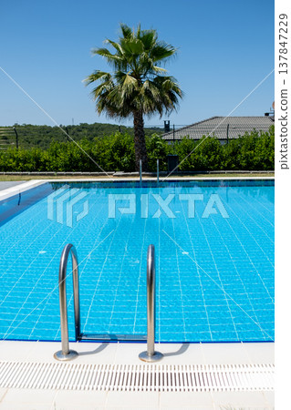 A pristine swimming pool glistens under the bright sun, surrounded by vibrant greenery and a single palm tree, creating a relaxing atmosphere. A pristine swimming pool glistens under the bright sun, surrounded by vibrant greenery and a single palm tree, creating a relaxing atmosphere. 137847229