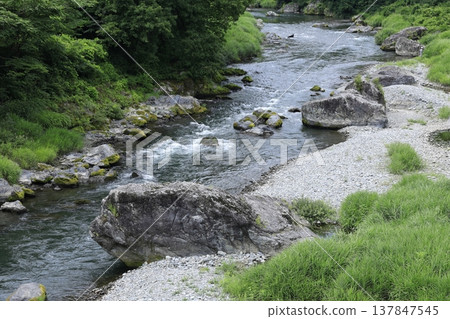 一條河流流經綠色的森林 一條河流流經綠色的森林 137847545