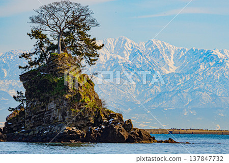 冬季富山縣雨晴海岸的壯麗景色 冬季富山縣雨晴海岸的壯麗景色 137847732