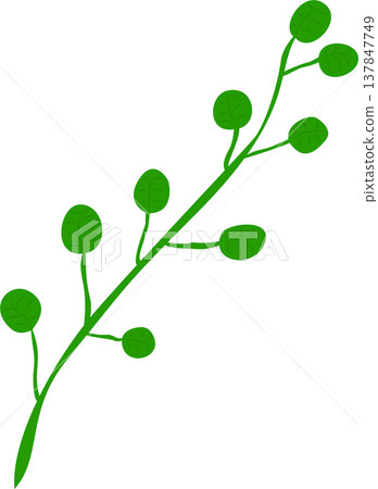 Berry Branch PNG Illustration 137847749