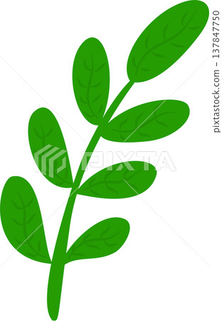 Small Leaf Branch Illustration Small Leaf Branch Illustration 137847750