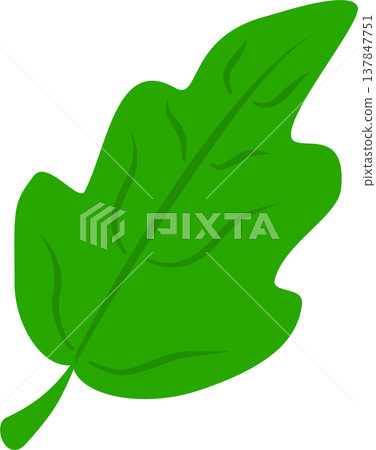 Green Oak Leaf PNG Illustration Isolated 137847751