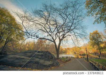 Autumn landscape in Central Park New York City, tranquility and urban nature concept with copy space Autumn landscape in Central Park New York City, tranquility and urban nature concept with copy space 137848611