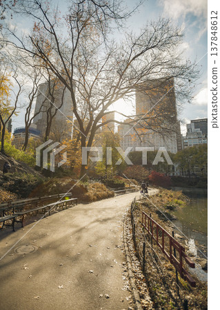 Central Park Pathway in New York City with Autumn Trees and Sun Flare Background Copy Space 137848612