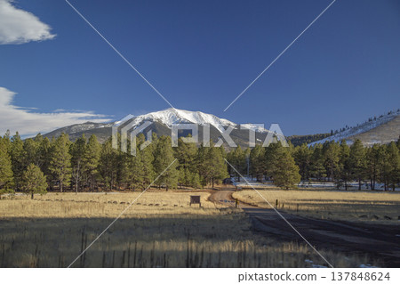Dirt Road Leading to Snow Capped Humphreys Peak in Flagstaff Arizona with Copy Space Dirt Road Leading to Snow Capped Humphreys Peak in Flagstaff Arizona with Copy Space 137848624