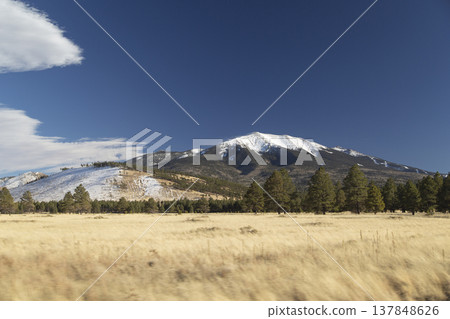 Majestic Snow Capped Humphreys Peak in Flagstaff Arizona with Pine Forest and Copy Space Majestic Snow Capped Humphreys Peak in Flagstaff Arizona with Pine Forest and Copy Space 137848626