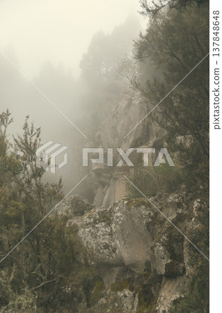 Mystical rocky cliffs in thick morning fog, nature silence concept with copy space 137848648