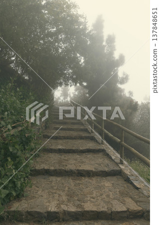 Stone Stairs Leading Up into Dense Mist with Copy Space for Text 137848651