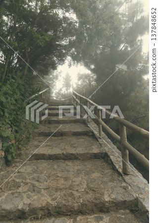 Ancient Stone Stairway in Misty Forest as Concept of Mindfulness and Spiritual Journey with Copy Space 137848652