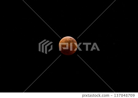 紅月總月食 紅月總月食 137848709