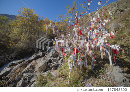 Colorful Wishing Tree with Ribbons in Mountains Background for Text 137848800