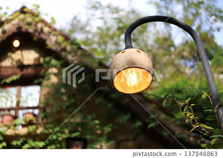 溫暖森林中的復古燈具 137848863