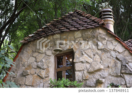 Warmth forest Warmth forest 137848911