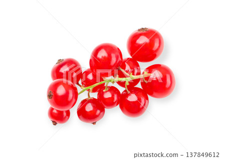 Red currants arranged in a bunch with green stems, PNG 137849612