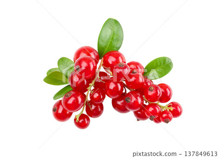 Red berries with green leaves arranged in a cluster, PNG Red berries with green leaves arranged in a cluster, PNG 137849613