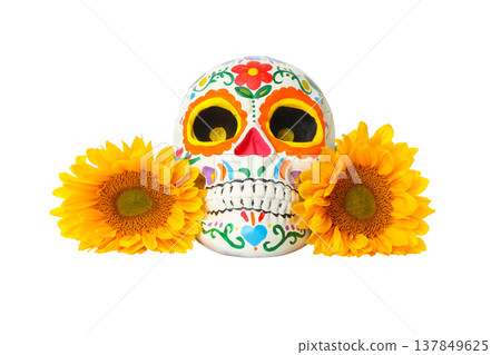 A decorated skull with sunflowers to mark the holiday, isolated, PNG 137849625