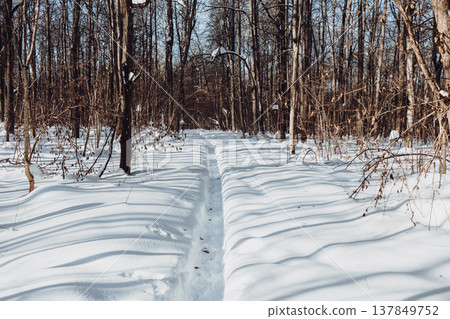 Beautiful winter landscape, country road and trees covered with snow. Winter nature background. Beautiful winter landscape, country road and trees covered with snow. Winter nature background. 137849752