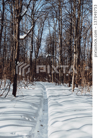 Beautiful winter landscape, country road and trees covered with snow. Winter nature background. 137849753