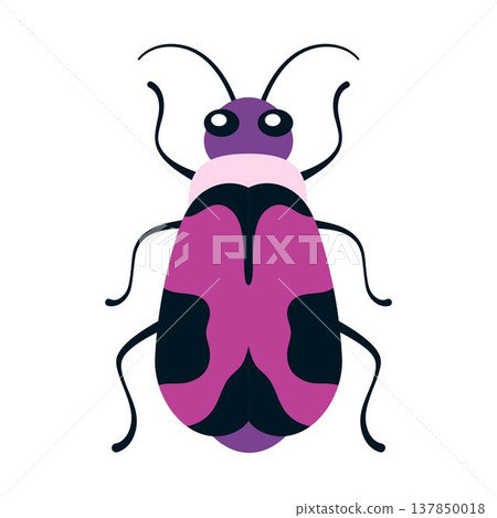 cartoon beetle isolated, flat style 137850018