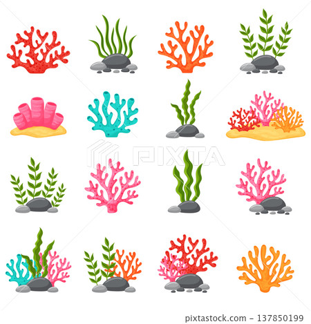 Underwater seaweeds and coral reef plants collection vector illustration. Underwater seaweeds and coral reef plants collection vector illustration. 137850199