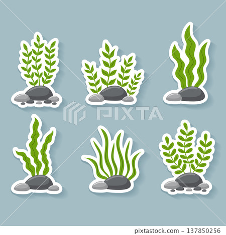Green seaweed stickers set with stones and aquatic plants vector illustration. Green seaweed stickers set with stones and aquatic plants vector illustration. 137850256