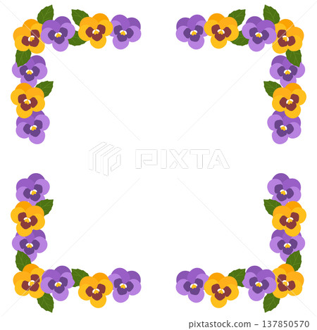 Pansy frame Pansy frame 137850570