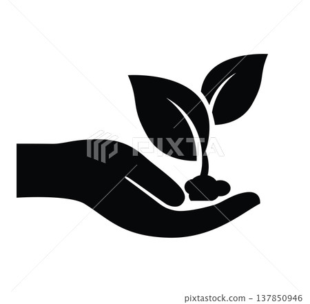 Hands Protecting Green Plants Growth and Sustainability Concept Hands Protecting Green Plants Growth and Sustainability Concept 137850946