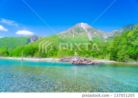 [Spectacular Scenery] Early Summer in Kamikochi: The lush greenery of the Azusa River and Mt. Yake [Nagano Prefecture] 137851205