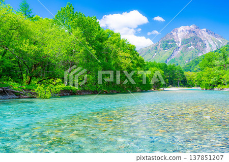 [Spectacular Scenery] Early Summer in Kamikochi: The lush greenery of the Azusa River and Mt. Yake [Nagano Prefecture] 137851207