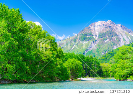 [Spectacular Scenery] Early Summer in Kamikochi: The lush greenery of the Azusa River and Mt. Yake [Nagano Prefecture] 137851210