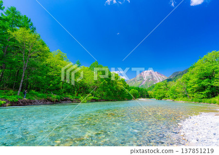 [Spectacular Scenery] Early Summer in Kamikochi: The lush greenery of the Azusa River and Mt. Yake [Nagano Prefecture] 137851219