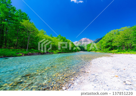 [Spectacular Scenery] Early Summer in Kamikochi: The lush greenery of the Azusa River and Mt. Yake [Nagano Prefecture] 137851220