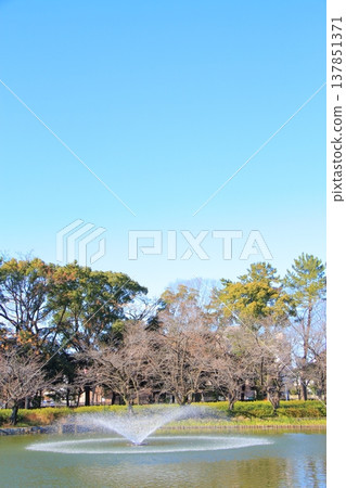 A view of the Ofukai Pond in Meijo Park, Nagoya City, Aichi Prefecture. 137851371