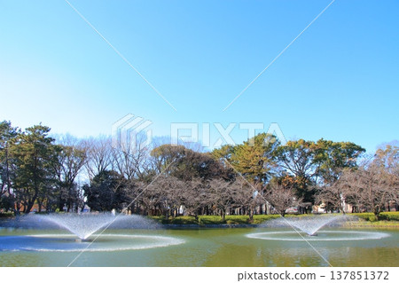 A view of the Ofukai Pond in Meijo Park, Nagoya City, Aichi Prefecture. A view of the Ofukai Pond in Meijo Park, Nagoya City, Aichi Prefecture. 137851372
