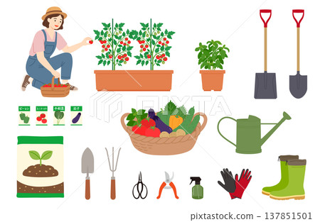 A set of illustrations depicting a woman enjoying home gardening and gardening tools. 137851501