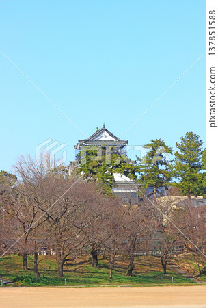 Scenery of Okazaki Castle, Okazaki City, Aichi Prefecture 137851588